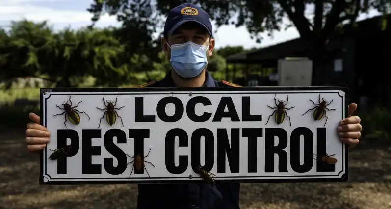 Pest control services in Ocean Beach (92107), PA